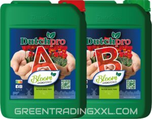 DutchPro Hydro/Cocos Bloom A+B 5 ltr