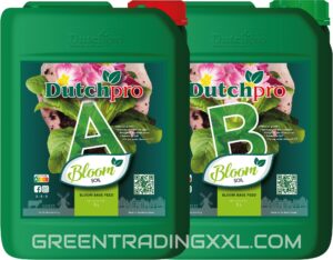 DutchPro Erde/Soil Bloom A+B 5 L