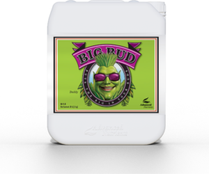 Advanced Nutrients Big Bud 5 L