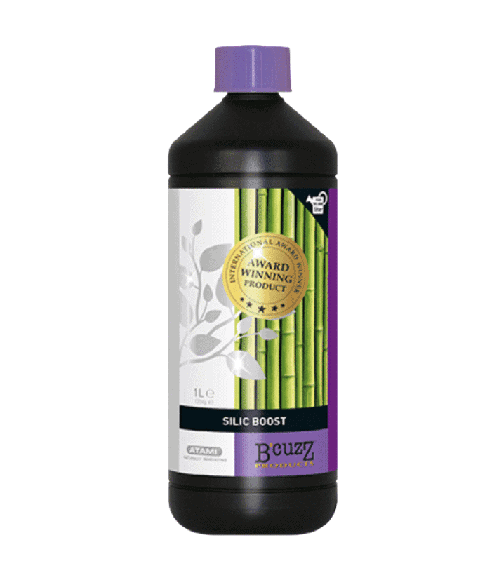 Silic Boost van B’cuzz is een stimuleerder voor planten, verpakt in een plastic fles van 1 liter. Dit product is ontworpen om de groei en gezondheid van planten te bevorderen door silicium aan te bieden. Het heeft een groene en paarse kleur met een opvallend ontwerp dat de herkenbaarheid verhoogt. Silic Boost kan worden toegepast op diverse gewassen en draagt bij aan de versterking van celstructuren, wat resulteert in meer weerstand tegen stressfactoren. Het product is milieuvriendelijk en biedt een duurzame optie voor tuinliefhebbers die streven naar gezonde plantengroei.