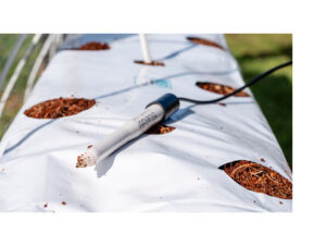 Handmatige pH-meter met een wit transparante sensor, geplaatst op een blauwe en witte kweekmat met groeven voor plantbedden. De meter is aangesloten op een zwart snoer en is ontworpen voor gebruik in hydroponische en aquaponische systemen. Dit product is uitgevoerd in duurzame materialen. De pH-meter biedt nauwkeurige metingen voor optimale plantgroei en is geschikt voor elke kweker die de bodemgezondheid wil monitoren.