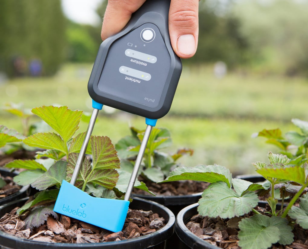Feuchtigkeitsmeter van Bluelab voor planten, speciaal ontworpen voor het meten van vochtigheidsniveaus in de bodem. Het apparaat heeft een ergonomisch handvat en een duidelijk display met LED-indicatoren voor vochtigheid en voedingsstoffen. Het is vervaardigd van duurzaam kunststof en beschikt over roestvrijstalen meetsensoren. Ideaal voor tuinieren en binnenplanten, helpt het gebruikers om de waterbehoefte van hun planten effectief te beheren. Dit product is milieuvriendelijk en draagt bij aan een bewuste verzorging van uw groen.