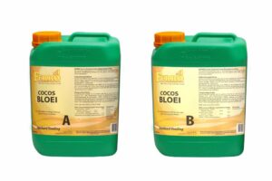 Ferro Cocos Bloei A+B 5 ltr