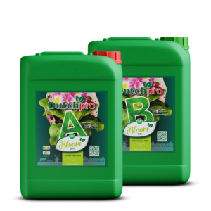 DutchPro Erde/Soil Bloom A+B 10 L