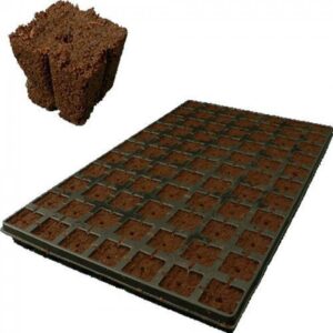 Eazy Plug CT77, 4x4 cm, 77 Stk. (pro Tray)