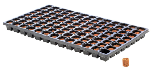 Eazy Plug CT104 rund, 3,5 x 2 cm 104 Stk. (pro Tray)