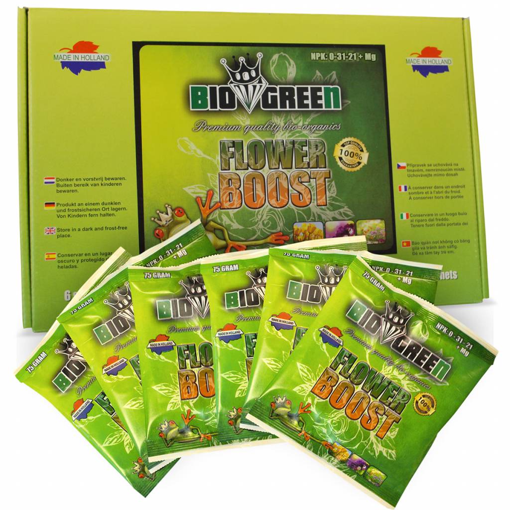 Premium organische bloeivoeding van Biogreen, verpakt in zes zakjes van 75 gram. Het product heeft een NPK-waarde van 0-31-21+Mg en is gemaakt van natuurlijke ingrediënten. Geschikt voor de bloeifase van planten, bevordert het de groei en ontwikkeling van bloemen. De verpakking is voorzien van duidelijke instructies in meerdere talen en is geproduceerd in Nederland, wat het product een duurzame keuze maakt.