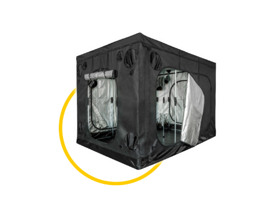 Mammoth Elite+ S.A. (Stand Alone)