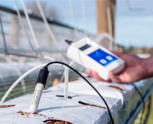 Sonde van Bluelab voor het meten van voedingsstoffen in de bodem. Het product is ontworpen voor professioneel gebruik binnen de tuinbouw. Het heeft een witte kleur en een slanke, cilindrische vorm. De sonde is gemaakt van duurzaam materiaal en is geschikt voor gebruik in verschillende bodems. De bijbehorende meetapparatuur, die met een hand wordt vastgehouden, is voorzien van een digitaal scherm voor een gemakkelijke aflezing van de gegevens. Dit product draagt bij aan efficiënter en milieuvriendelijk tuinbeheer door het nauwkeurig monitoren van de bodemvoeding en -gezondheid.