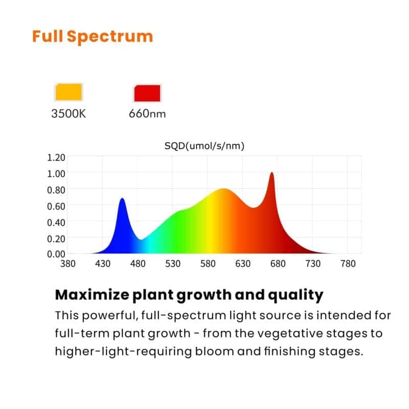 Ralight Quantumboard 180W full spectrum LED groeilamp voor optimale plantengroei.