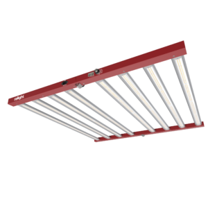 Ralight LED 1000W 8 bars 120X120cm