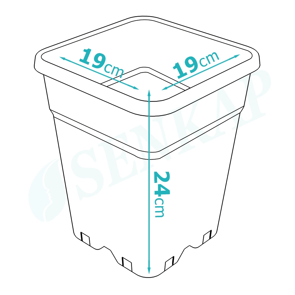 Vierkante kunststof pot met een afmeting van 19 cm breed, 19 cm diep en 24 cm hoog. Geschikt voor het verpotten van verschillende planten. Gemaakt van kunststof, waardoor het lichtgewicht en duurzaam is. De pot heeft drainagegaten aan de onderkant voor een optimale afwatering. Ideaal voor zowel binnen- als buitentoepassingen. Kan bijdragen aan een milieuvriendelijke tuin, afhankelijk van de gebruikte materialen.