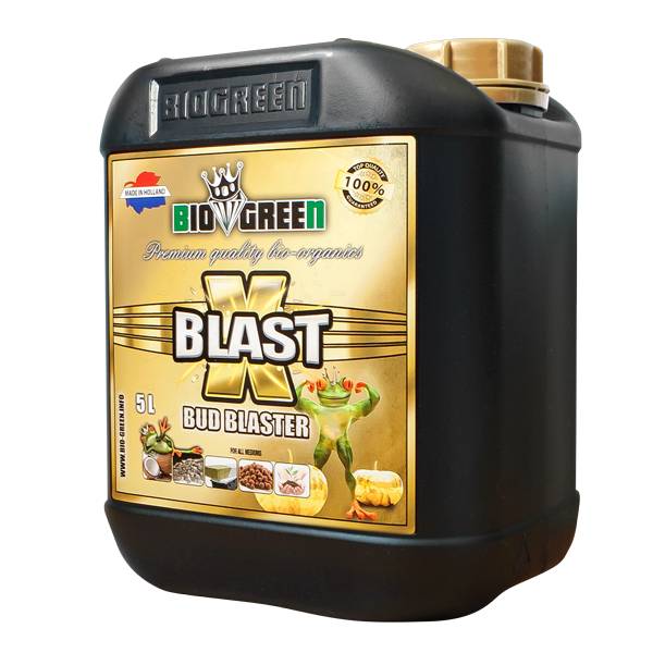 5 liter verpakking van Biovgreen X Blast Bud Blaster, een organische meststof, biedt een optimale ondersteuning voor de bloei van planten. De zwarte container heeft een goed afsluitbare deksel en is vervaardigd van duurzame materialen. Geschikt voor zowel binnen- als buitenplanten, bevordert het de ontwikkeling van knoppen en maakt gebruik van natuurlijke ingrediënten. Dit product is ideaal voor tuinieren en hydrocultuur, en draagt bij aan een milieuvriendelijke benadering van plantengroei.