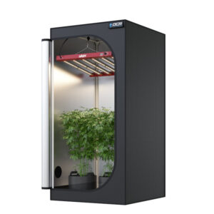 OCR Light 80 (80x80x160 cm)