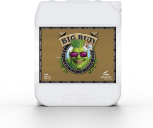 Advanced Nutrients Big Bud Coco 5 l